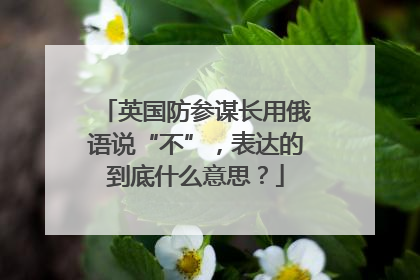 英国防参谋长用俄语说“不”，表达的到底什么意思？