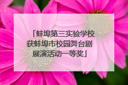 蚌埠第三实验学校获蚌埠市校园舞台剧展演活动一等奖