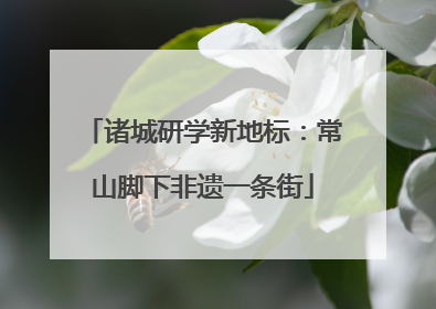 诸城研学新地标：常山脚下非遗一条街