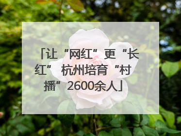 让“网红”更“长红” 杭州培育“村播”2600余人