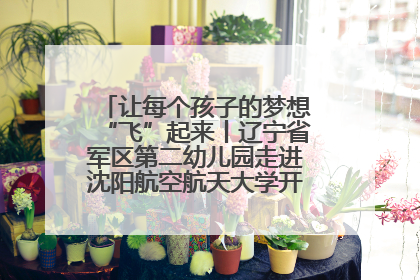 让每个孩子的梦想“飞”起来丨辽宁省军区第二幼儿园走进沈阳航空航天大学开展爱国主义教育