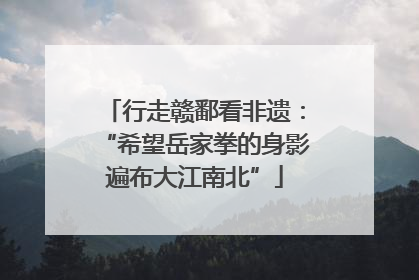 行走赣鄱看非遗：“希望岳家拳的身影遍布大江南北”