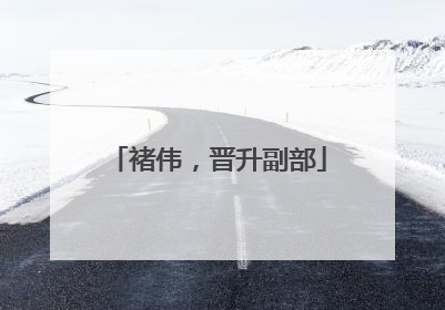 褚伟，晋升副部