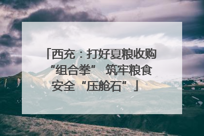 西充：打好夏粮收购“组合拳” 筑牢粮食安全“压舱石”