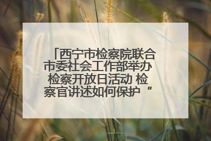 西宁市检察院联合市委社会工作部举办检察开放日活动 检察官讲述如何保护“少年的你”