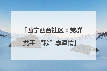 西宁西台社区：党群携手 “粽”享温情