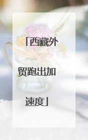 西藏外贸跑出加速度