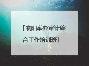 襄阳举办审计综合工作培训班