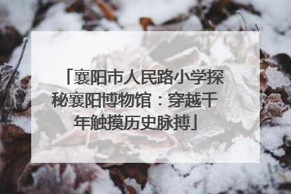 襄阳市人民路小学探秘襄阳博物馆：穿越千年触摸历史脉搏