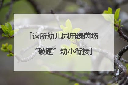 这所幼儿园用绿茵场“破题”幼小衔接