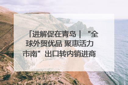 进解促在青岛｜“全球外贸优品 聚惠活力市南”出口转内销进商超专场活动启动