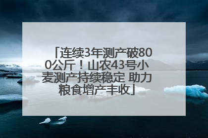 连续3年测产破800公斤！山农43号小麦测产持续稳定 助力粮食增产丰收