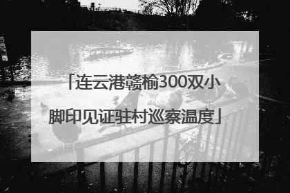连云港赣榆300双小脚印见证驻村巡察温度