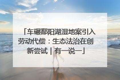 车碾鄱阳湖湿地案引入劳动代偿：生态法治在创新尝试｜有一说一