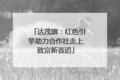 达茂旗：红色引擎助力合作社走上致富新赛道