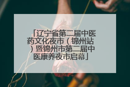 辽宁省第二届中医药文化夜市（锦州站）暨锦州市第二届中医康养夜市启幕