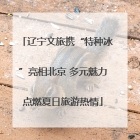 辽宁文旅携“特种冰”亮相北京 多元魅力点燃夏日旅游热情