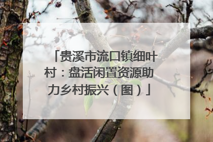 贵溪市流口镇细叶村：盘活闲置资源助力乡村振兴（图）