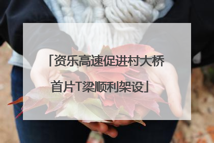 资乐高速促进村大桥首片T梁顺利架设