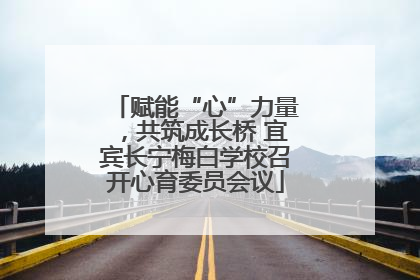 赋能“心”力量，共筑成长桥 宜宾长宁梅白学校召开心育委员会议