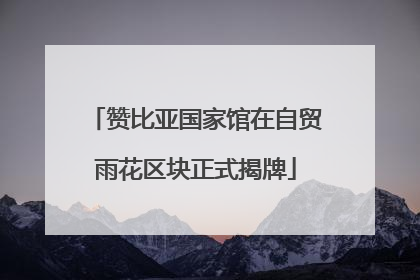 赞比亚国家馆在自贸雨花区块正式揭牌