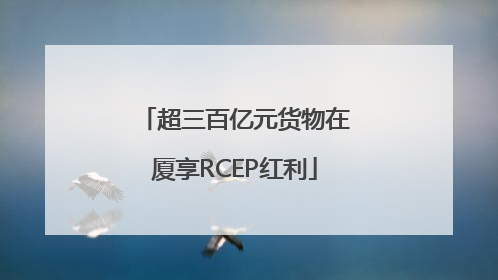 超三百亿元货物在厦享RCEP红利