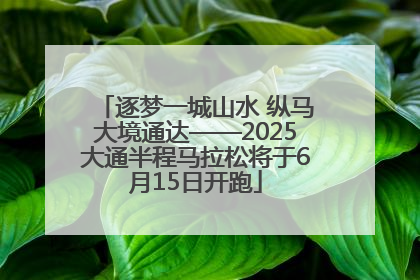逐梦一城山水 纵马大境通达——2025大通半程马拉松将于6月15日开跑
