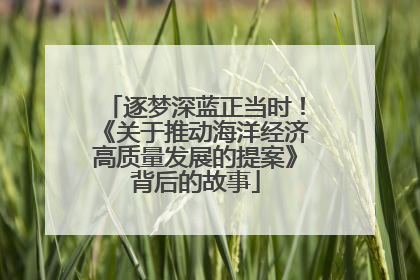 逐梦深蓝正当时！《关于推动海洋经济高质量发展的提案》背后的故事
