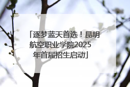 逐梦蓝天首选！昆明航空职业学院2025年首届招生启动