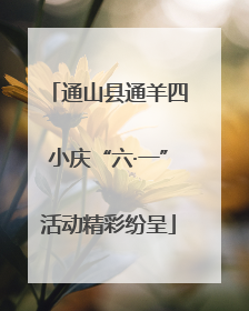 通山县通羊四小庆“六·一”活动精彩纷呈