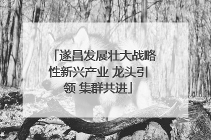 遂昌发展壮大战略性新兴产业 龙头引领 集群共进