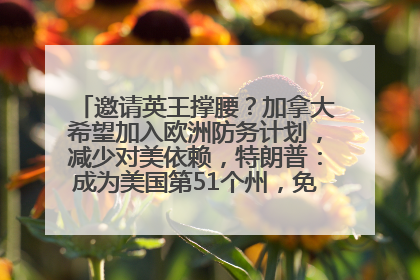 邀请英王撑腰？加拿大希望加入欧洲防务计划，减少对美依赖，特朗普：成为美国第51个州，免费用“金穹”