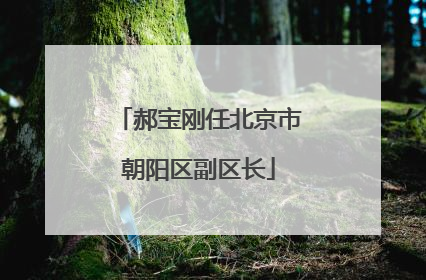 郝宝刚任北京市朝阳区副区长