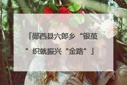 郧西县六郎乡“银茧”织就振兴“金路”