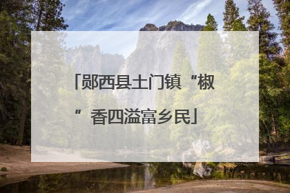郧西县土门镇“椒”香四溢富乡民