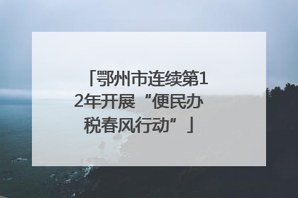 鄂州市连续第12年开展“便民办税春风行动”
