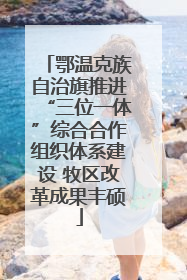 鄂温克族自治旗推进“三位一体”综合合作组织体系建设 牧区改革成果丰硕