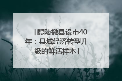 醴陵撤县设市40年：县域经济转型升级的鲜活样本