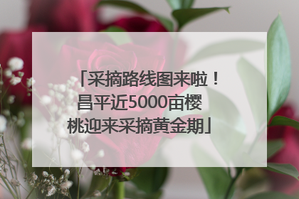 采摘路线图来啦！昌平近5000亩樱桃迎来采摘黄金期