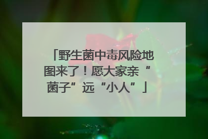 野生菌中毒风险地图来了！愿大家亲“菌子”远“小人”