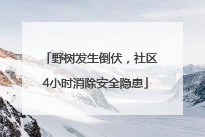 野树发生倒伏，社区4小时消除安全隐患