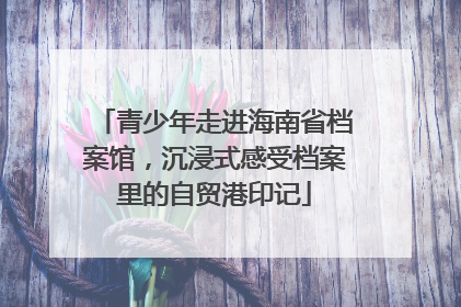 青少年走进海南省档案馆，沉浸式感受档案里的自贸港印记