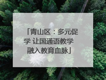 青山区：多元促学 让国通语教学融入教育血脉