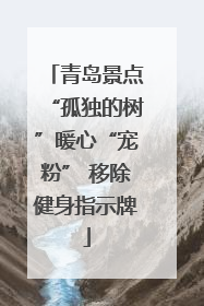 青岛景点“孤独的树”暖心“宠粉” 移除健身指示牌