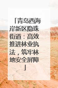 青岛西海岸新区隐珠街道：高效推进林业执法，筑牢林地安全屏障