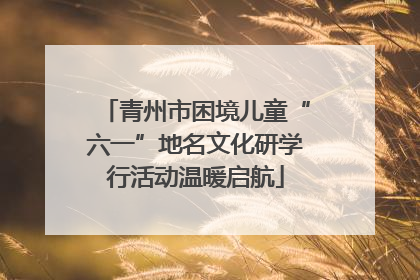 青州市困境儿童“六一”地名文化研学行活动温暖启航