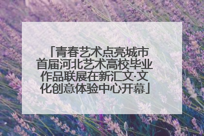 青春艺术点亮城市 首届河北艺术高校毕业作品联展在新汇文·文化创意体验中心开幕