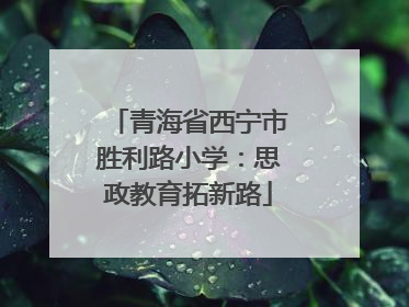 青海省西宁市胜利路小学：思政教育拓新路