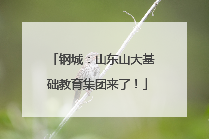 钢城：山东山大基础教育集团来了！