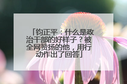 钧正平：什么是政治干部的好样子？被全网赞扬的他，用行动作出了回答